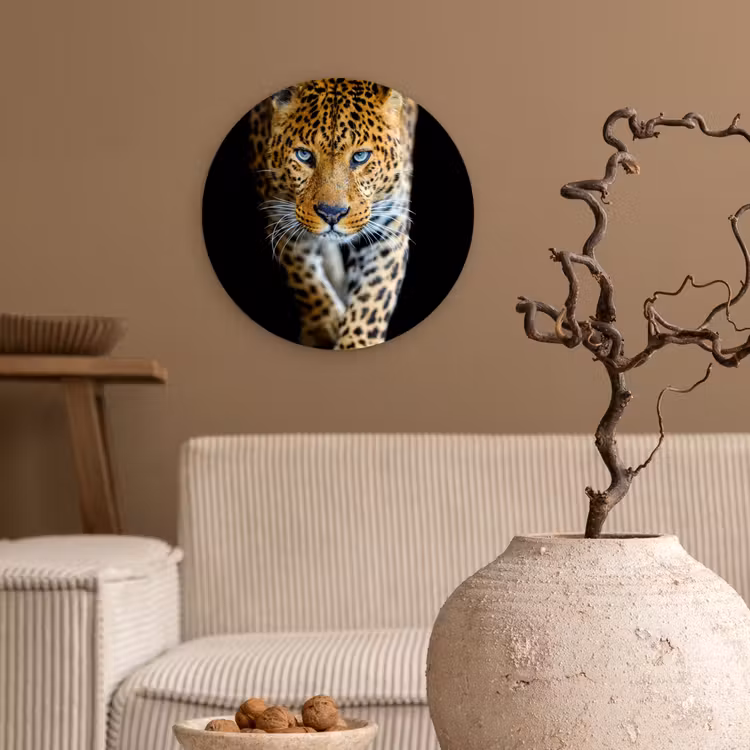 Luipaard - Dieren - Portret - Wilde dieren - Zwart Wandcirkel kunststof plaat 5mm dik klein -sfeer1