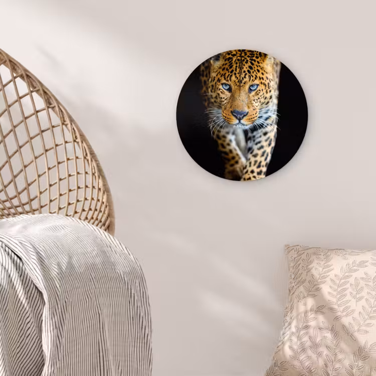 Luipaard - Dieren - Portret - Wilde dieren - Zwart Wandcirkel kunststof plaat 5mm dik klein -sfeer5