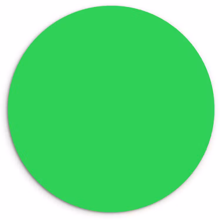 Mint - Green - Groen Wandcirkel kunststof plaat 5mm dik klein 188 -3d
