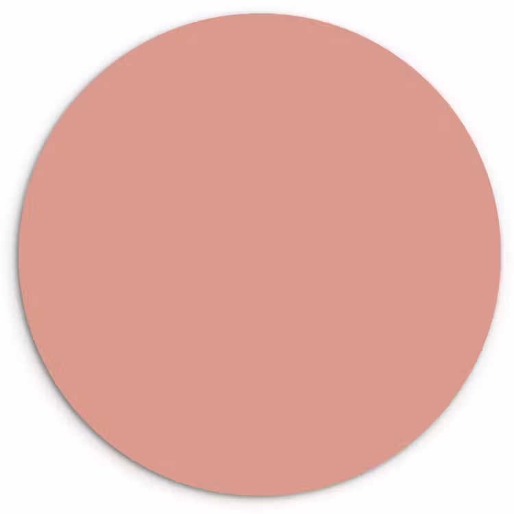 Muted - Salmon - Koraal Wandcirkel kunststof plaat 5mm dik klein 188 -3d