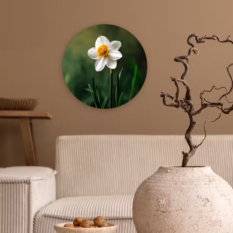 Narcis - Bloem - Wit - Grassprieten Wandcirkel kunststof plaat 5mm dik klein -sfeer1
