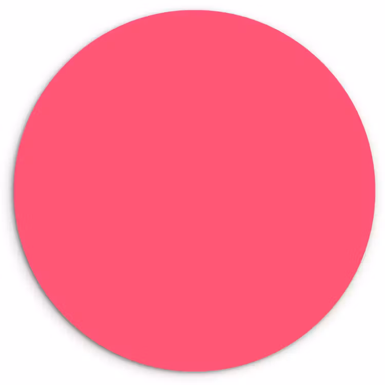 Neon - Flamingo - Roze Wandcirkel kunststof plaat 5mm dik klein 188 -3d