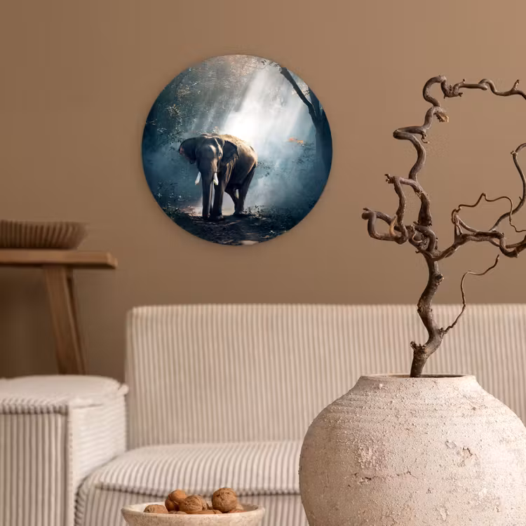 Olifant - Dieren - Licht - Bos - Natuur - Wilde dieren Wandcirkel kunststof plaat 5mm dik klein -sfeer1