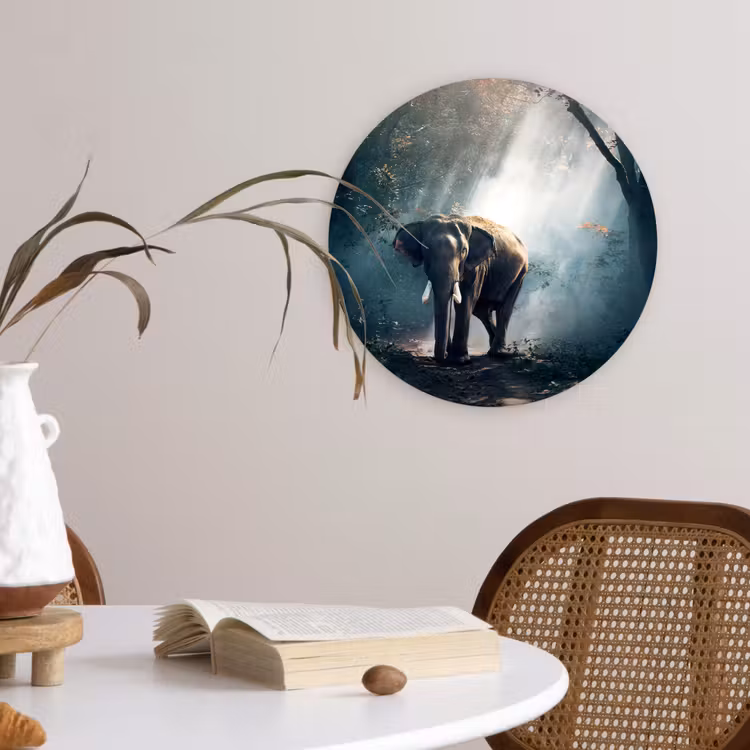 Olifant - Dieren - Licht - Bos - Natuur - Wilde dieren Wandcirkel kunststof plaat 5mm dik klein -sfeer4