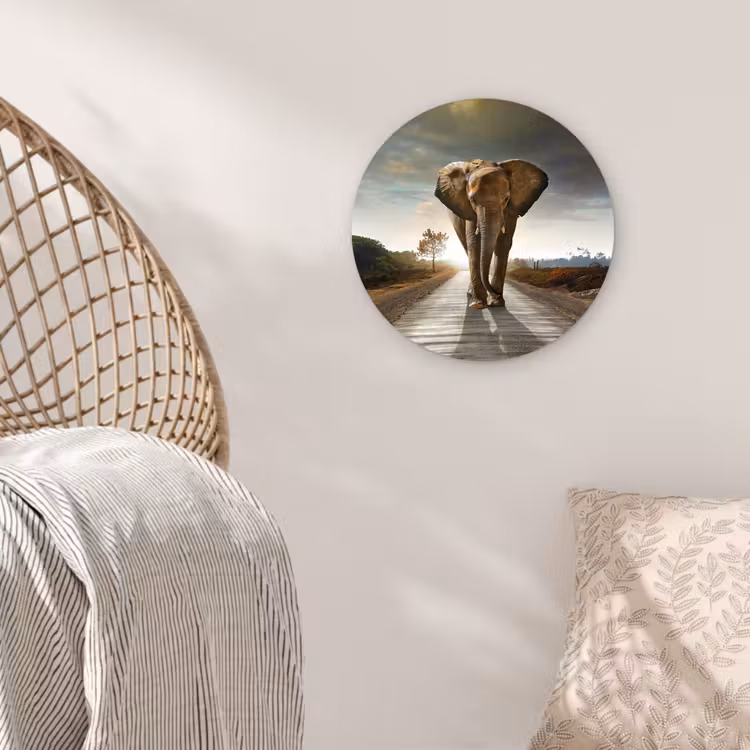 Olifant - Weg - Dieren - Zonsondergang - Landschap Wandcirkel kunststof plaat 5mm dik klein -sfeer5