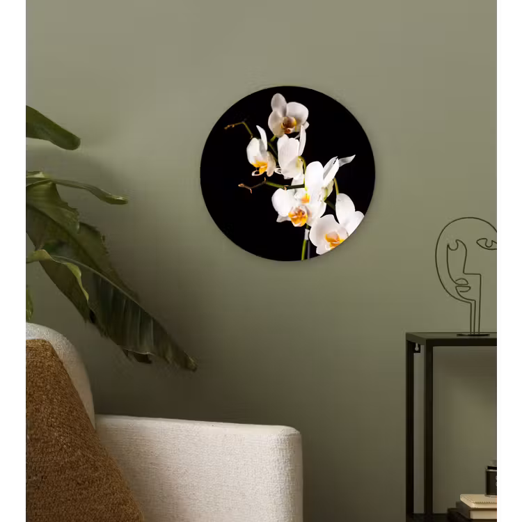 Orchidee - Bloemen - Planten - Botanisch Wandcirkel kunststof plaat 5mm dik klein -sfeer3