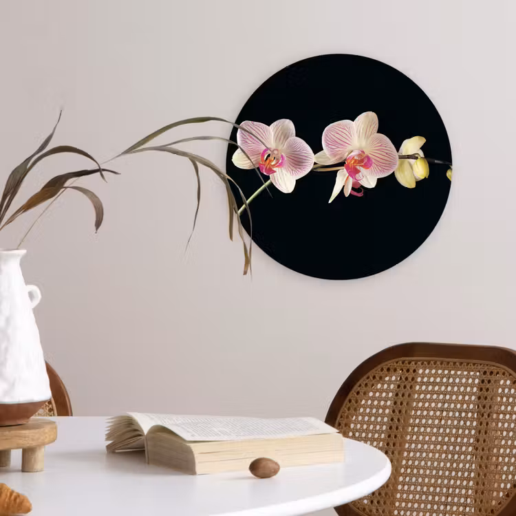 Orchidee - Bloemen - Zwart - Roze - Knoppen Wandcirkel kunststof plaat 5mm dik klein -sfeer4