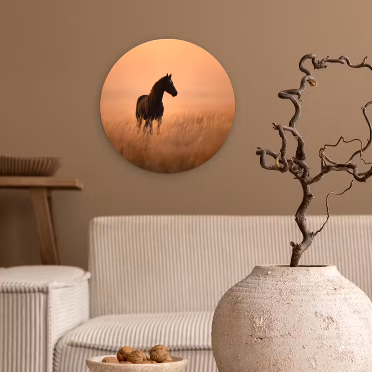Paard - Grasveld - Zonsondergang Wandcirkel kunststof plaat 5mm dik klein -sfeer1