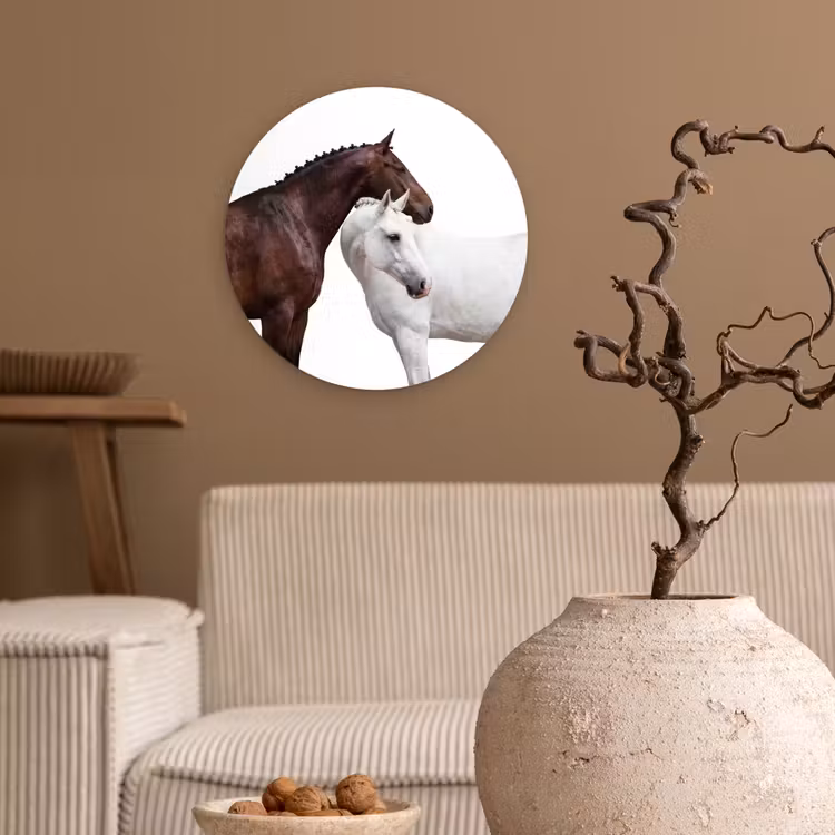 Paard - Modern - Balans Wandcirkel kunststof plaat 5mm dik klein -sfeer1