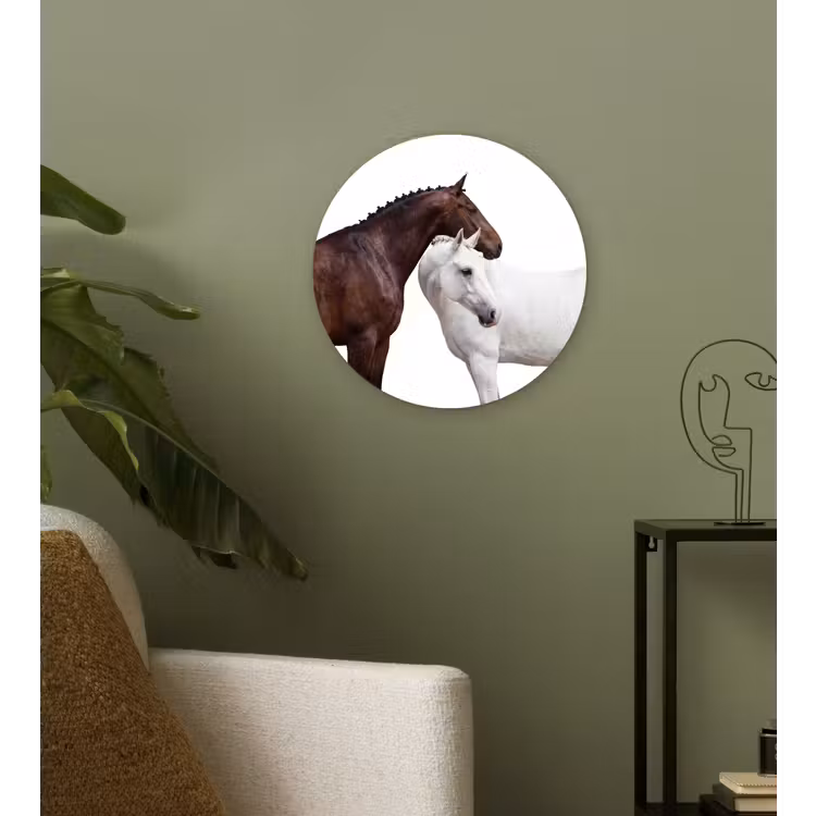 Paard - Modern - Balans Wandcirkel kunststof plaat 5mm dik klein -sfeer3