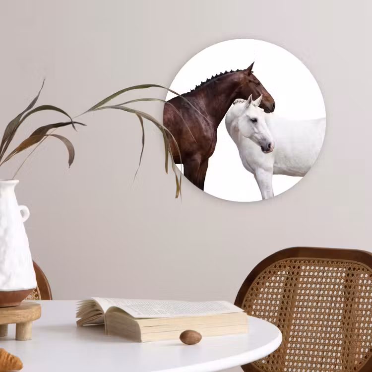 Paard - Modern - Balans Wandcirkel kunststof plaat 5mm dik klein -sfeer4