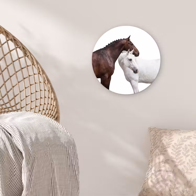 Paard - Modern - Balans Wandcirkel kunststof plaat 5mm dik klein -sfeer5