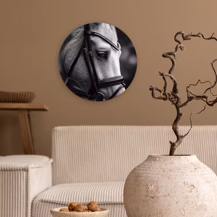 Paard - Schimmel - Portret Wandcirkel kunststof plaat 5mm dik klein -sfeer1