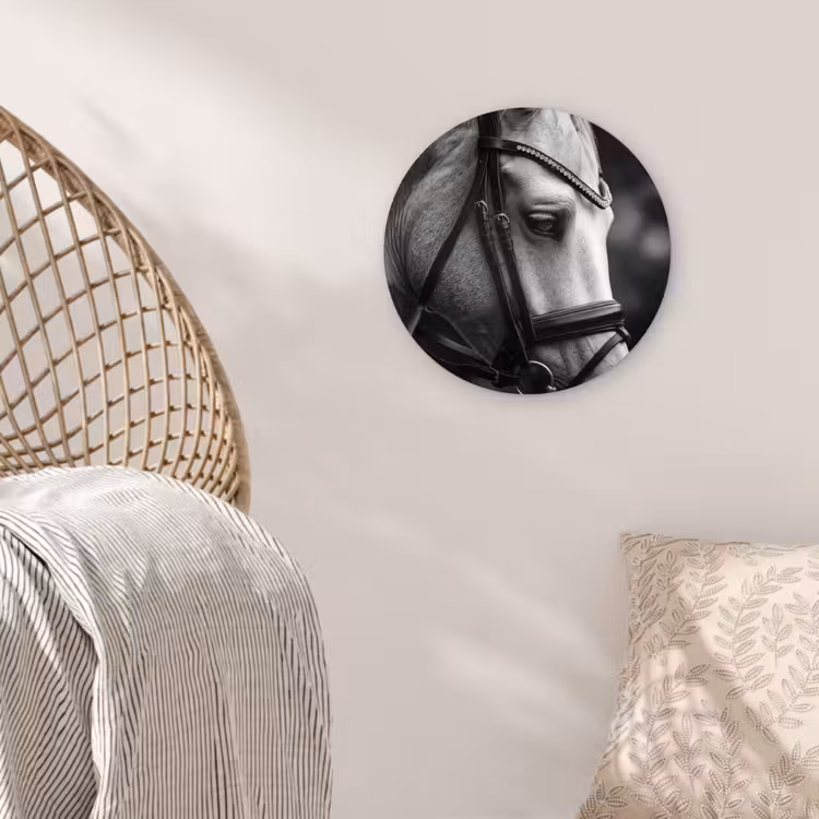 Paard - Schimmel - Portret Wandcirkel kunststof plaat 5mm dik klein -sfeer5