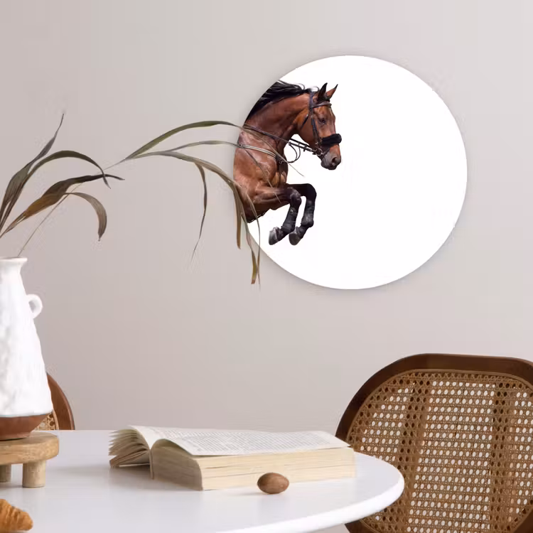 Paard - Springen - Modern Wandcirkel kunststof plaat 5mm dik klein -sfeer4