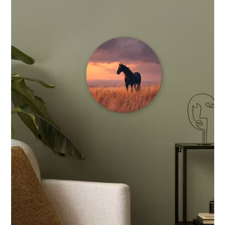 Paard - Wolken - Open veld Wandcirkel kunststof plaat 5mm dik klein -sfeer3