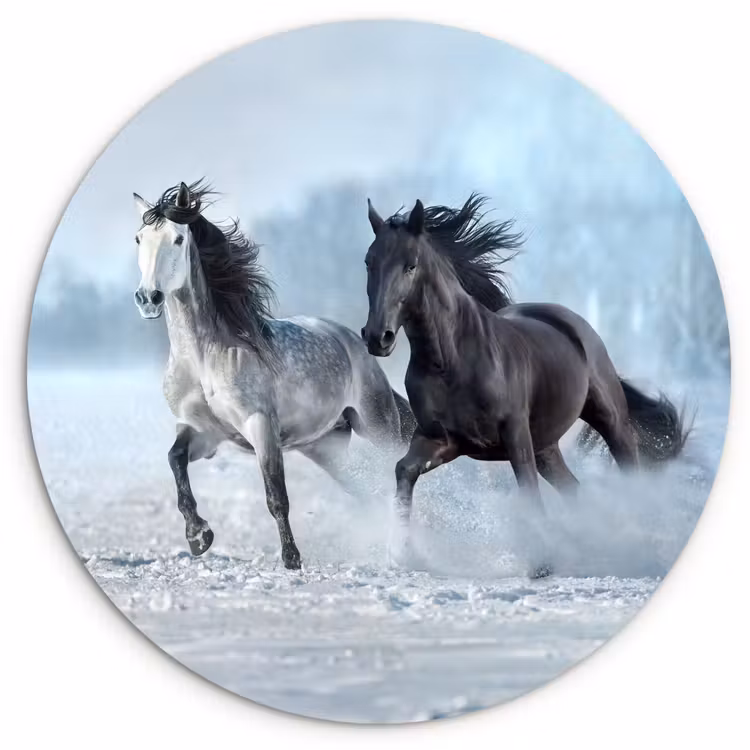 Paarden - Winter - Dieren - Natuur - Sneeuw Wandcirkel kunststof plaat 5mm dik klein -3d