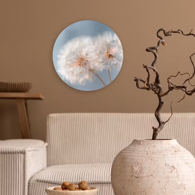 Paardenbloemen - Pluisjes - Wit Wandcirkel kunststof plaat 5mm dik klein -sfeer1