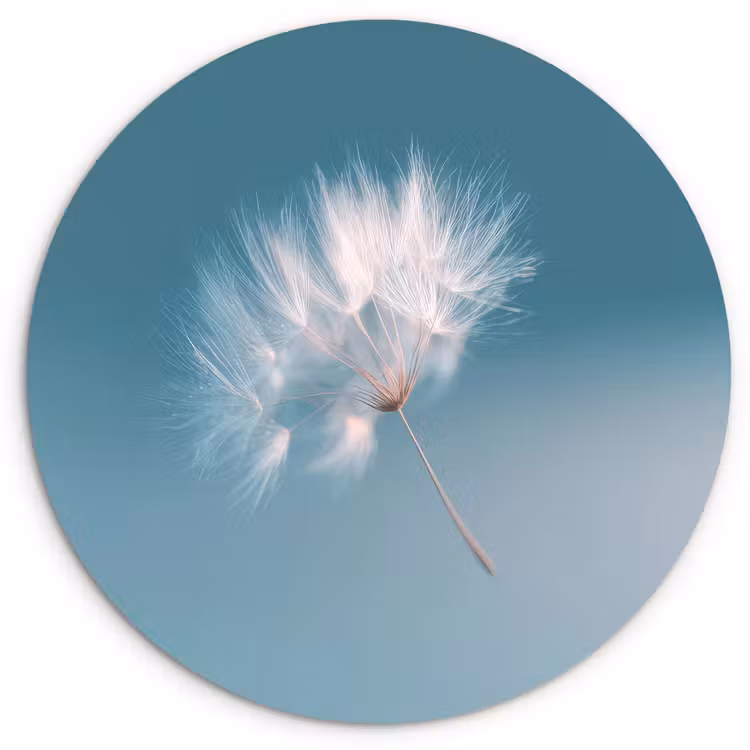 Paardenbloempluisje - Blauw - Lucht Wandcirkel kunststof plaat 5mm dik klein -3d