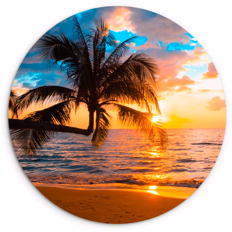 Palm - Zonsondergang - Horizon - Strand - Zee - Tropisch Wandcirkel kunststof plaat 5mm dik klein -3d