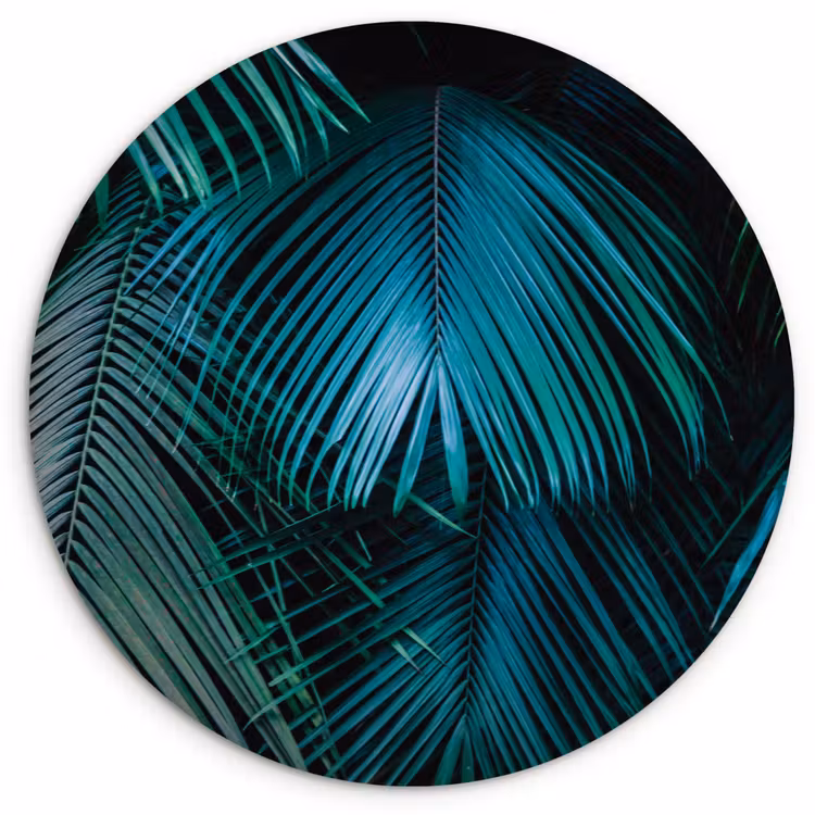 Palmblad - Tropisch - Natuur - Jungle Wandcirkel kunststof plaat 5mm dik klein -3d