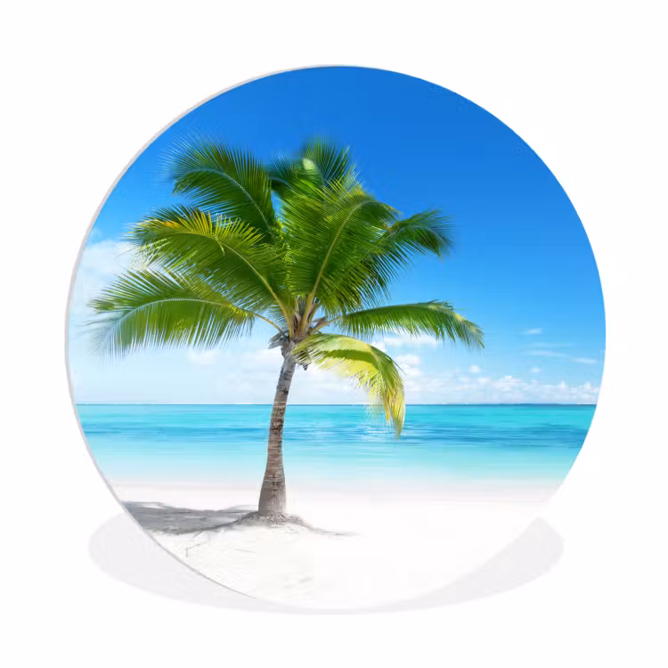 Palmboom - Strand - Zee - Zomer Wandcirkel kunststof plaat 5mm dik klein -3d