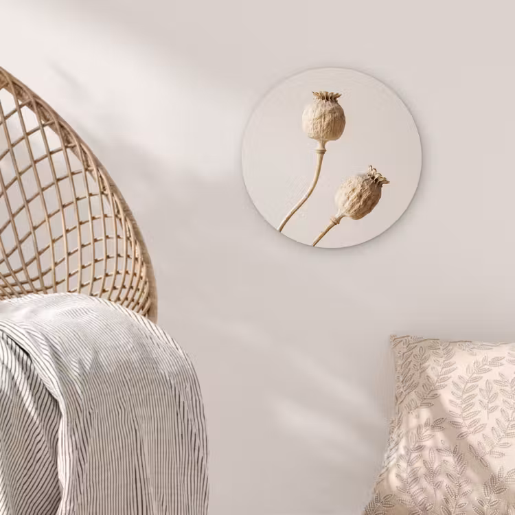 Papaverbollen - Droogbloemen - Minimalistisch - Beige - Rustig Wandcirkel kunststof plaat 5mm dik klein -sfeer5