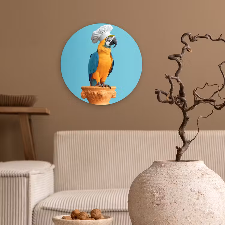 Papegaai - Koksmuts - Grappig - Vogel Wandcirkel kunststof plaat 5mm dik klein -sfeer1