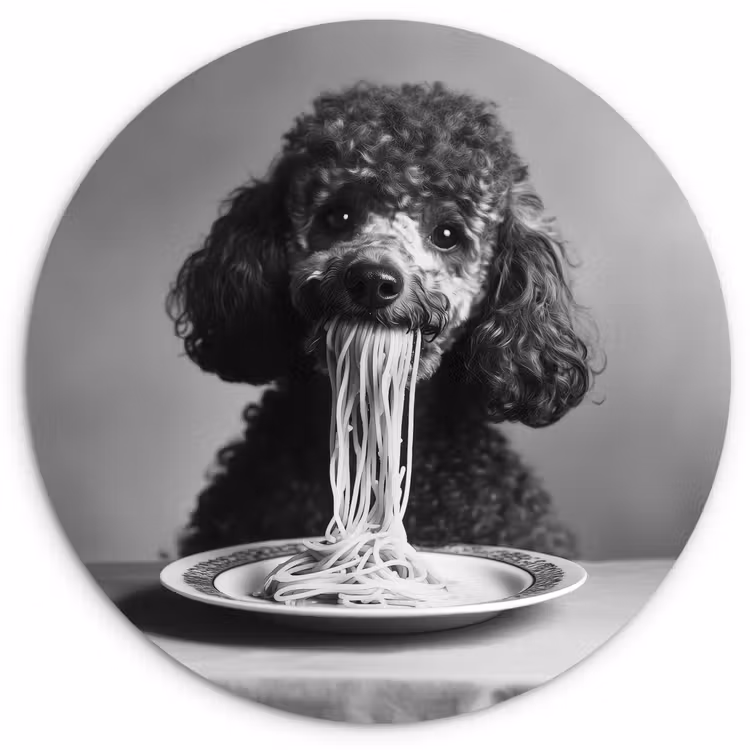 Poedel - Hond - Zwart - Wit - Schattig - Pasta Wandcirkel kunststof plaat 5mm dik klein -3d
