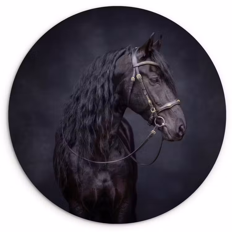 Portret - Paard - Donker Wandcirkel kunststof plaat 5mm dik klein -3d