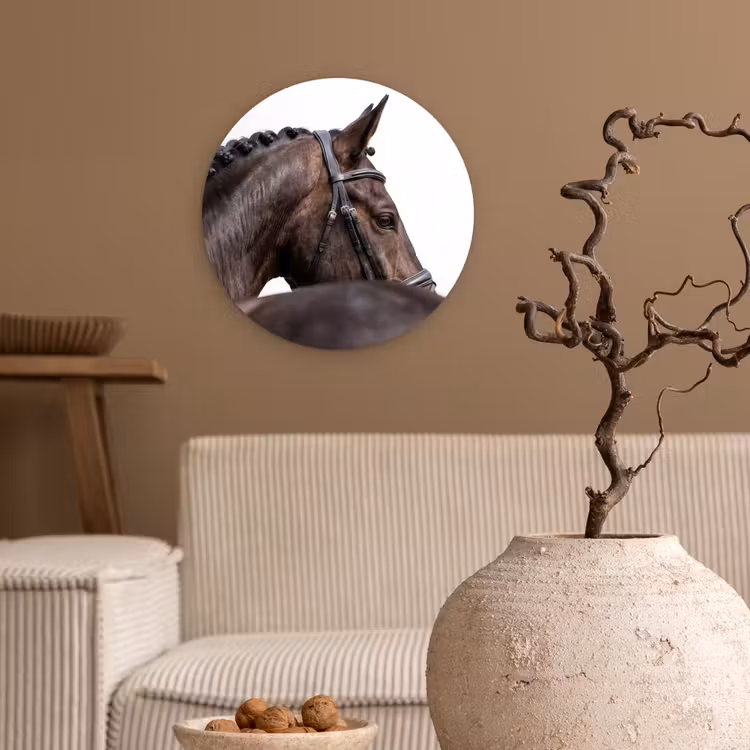 Portret - Paard - Elegant Wandcirkel kunststof plaat 5mm dik klein -sfeer1