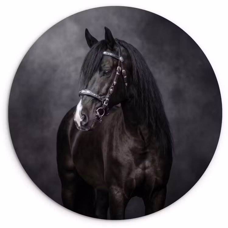 Portret - Paard - Zwart Wandcirkel kunststof plaat 5mm dik klein -3d