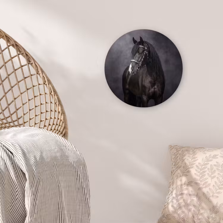 Portret - Paard - Zwart Wandcirkel kunststof plaat 5mm dik klein -sfeer5