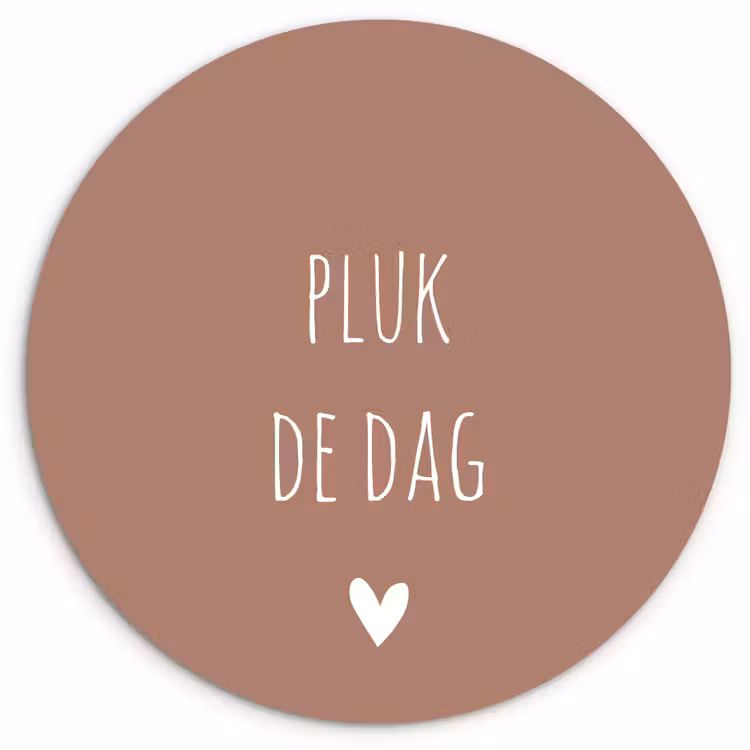 Quotes - Carpe diem - Pluk de dag - Spreuken Wandcirkel kunststof plaat 5mm dik klein -3d