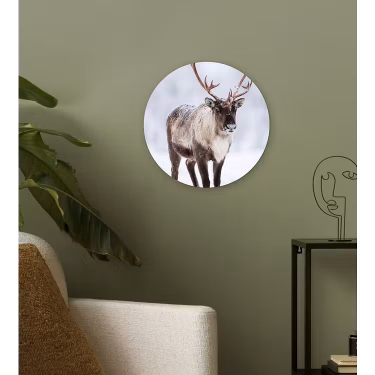 Rendier - Gewei - Toendra - Sneeuw - Wild Wandcirkel kunststof plaat 5mm dik klein -sfeer3
