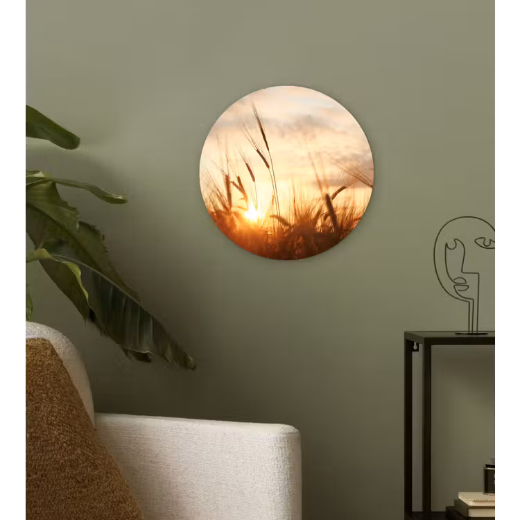 Riet - Gras - Zonsondergang - Natuur - Horizon Wandcirkel kunststof plaat 5mm dik klein -sfeer3
