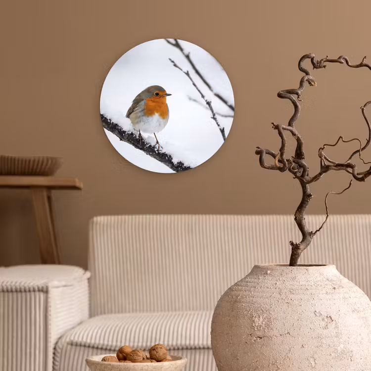 Roodborstje - Tak - Sneeuw - Winter - Levendig Wandcirkel kunststof plaat 5mm dik klein -sfeer1