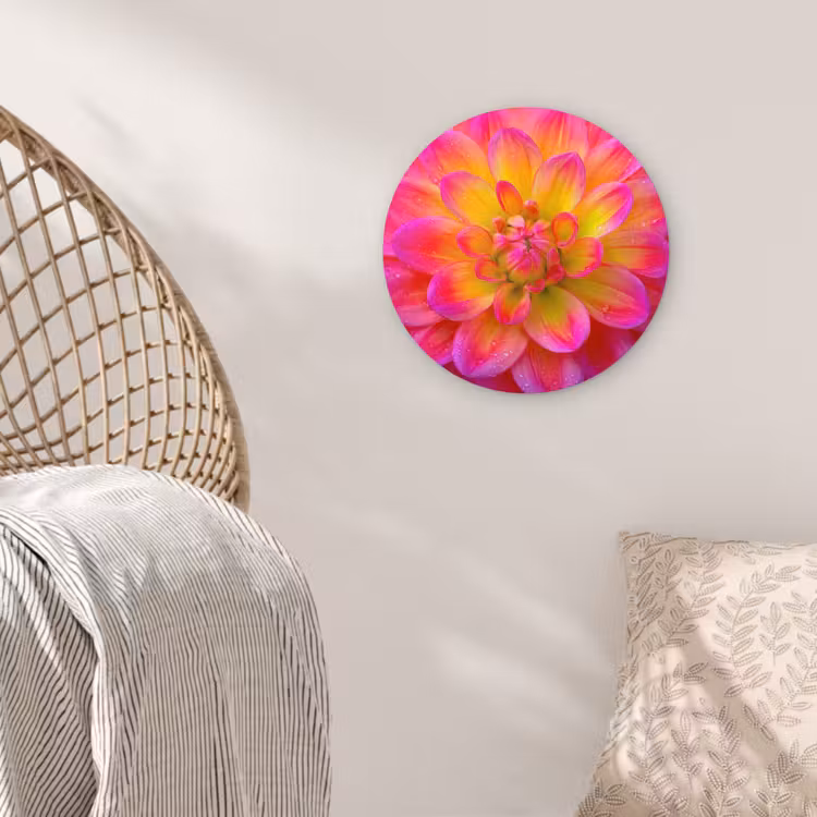 Roze - Dahlia - Kleurrijk Wandcirkel kunststof plaat 5mm dik klein -sfeer5