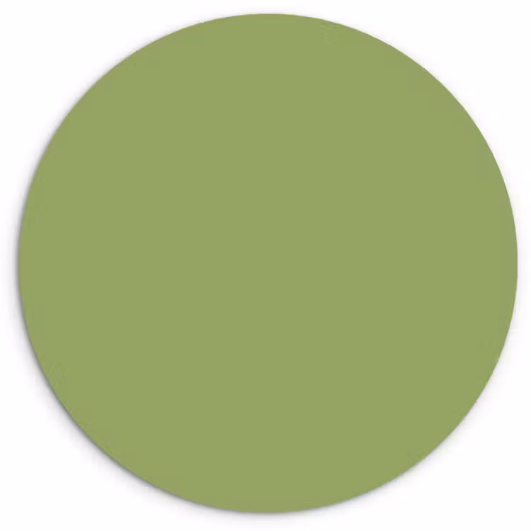 Sage - Green - Groen Wandcirkel kunststof plaat 5mm dik klein 188 -3d