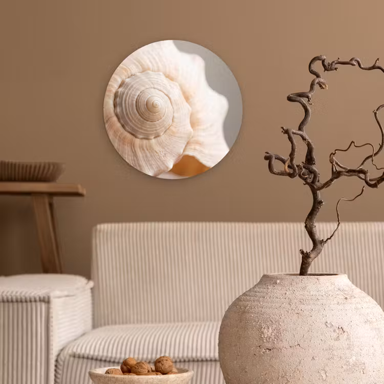 Schelp - Detail - Beige Wandcirkel kunststof plaat 5mm dik klein -sfeer1