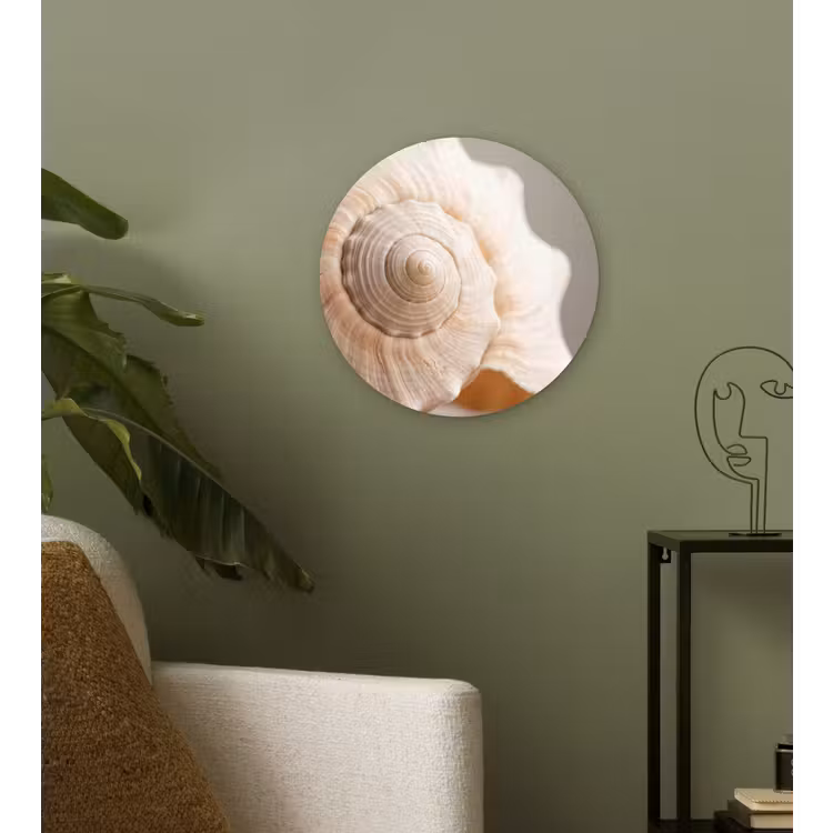 Schelp - Detail - Beige Wandcirkel kunststof plaat 5mm dik klein -sfeer3