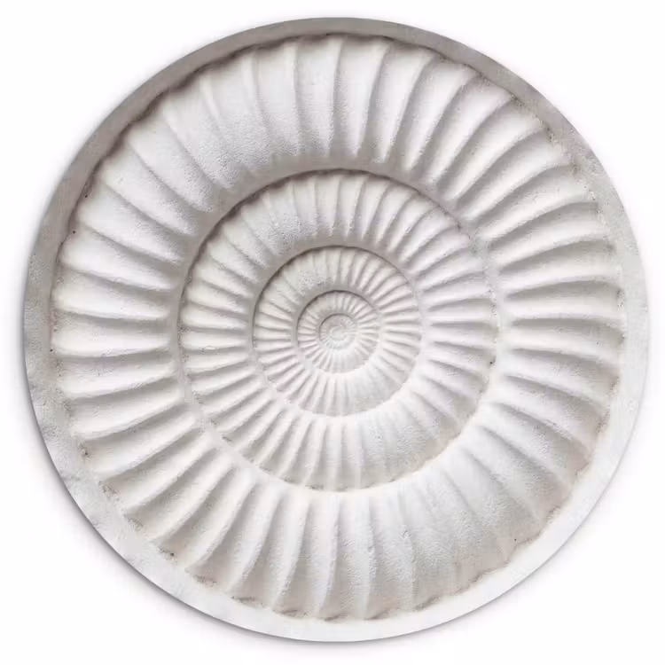 Schelp - Spiraal - Wit Wandcirkel kunststof plaat 5mm dik klein -3d