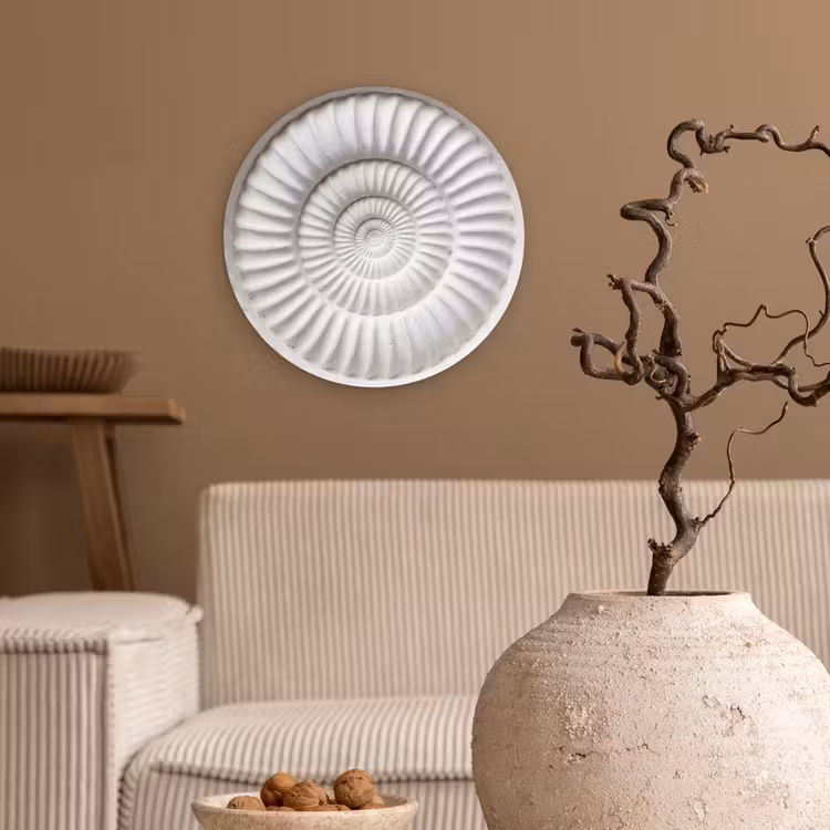 Schelp - Spiraal - Wit Wandcirkel kunststof plaat 5mm dik klein -sfeer1