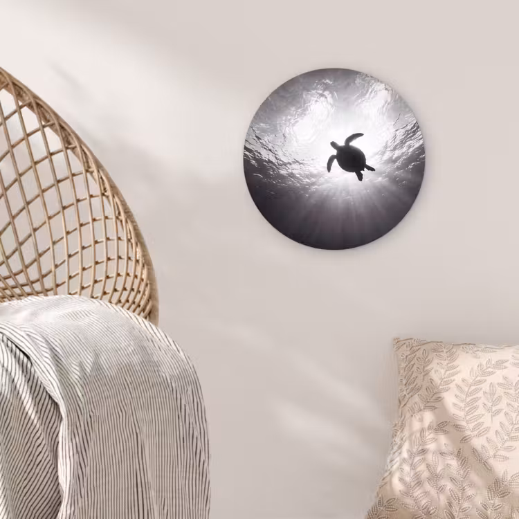 Schildpad - Onderwater - Lichtstralen - Oceaan - Zwart-wit Wandcirkel kunststof plaat 5mm dik klein -sfeer5