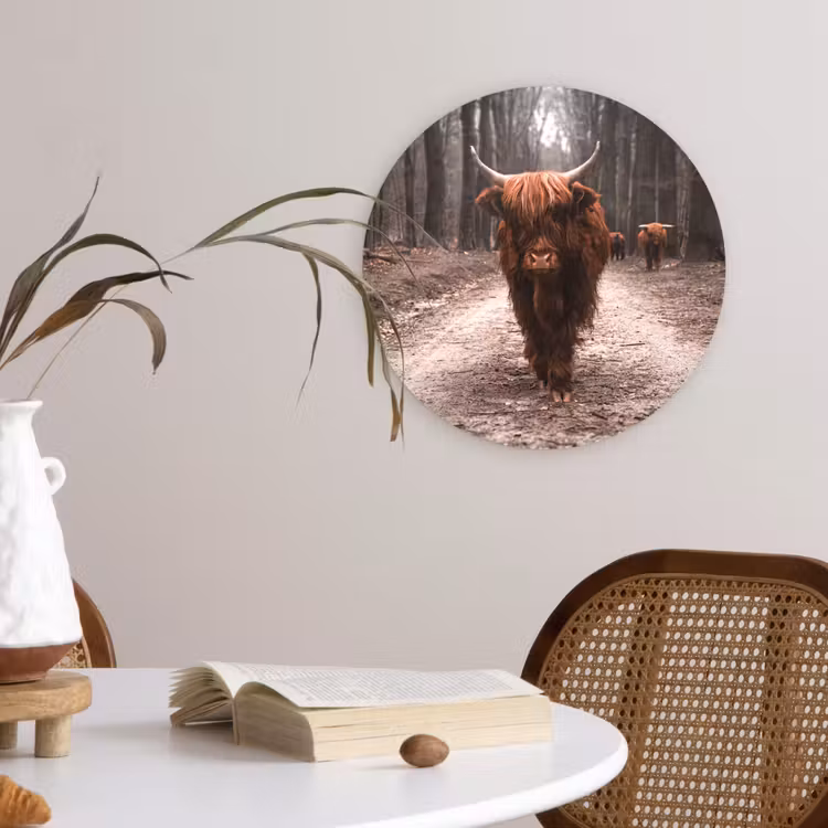 Schotse hooglander - Bos - Koe - Dieren - Natuur Wandcirkel kunststof plaat 5mm dik klein -sfeer4