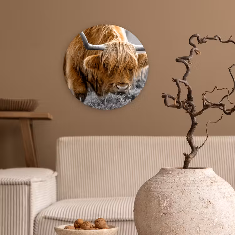 Schotse Hooglander - Dieren - Bruin - Koe - Zwart - Wit - Natuur Wandcirkel kunststof plaat 5mm dik klein -sfeer1