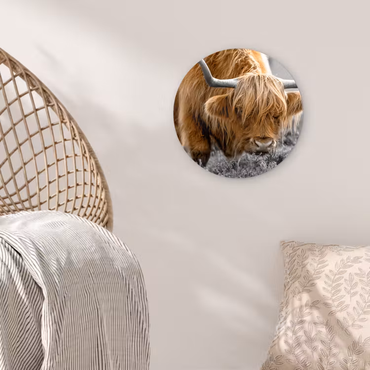 Schotse Hooglander - Dieren - Bruin - Koe - Zwart - Wit - Natuur Wandcirkel kunststof plaat 5mm dik klein -sfeer5