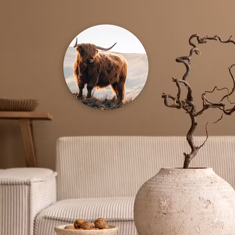 Schotse hooglander - Dieren - Landelijk - Landschap - Koe - Natuur Wandcirkel kunststof plaat 5mm dik klein -sfeer1