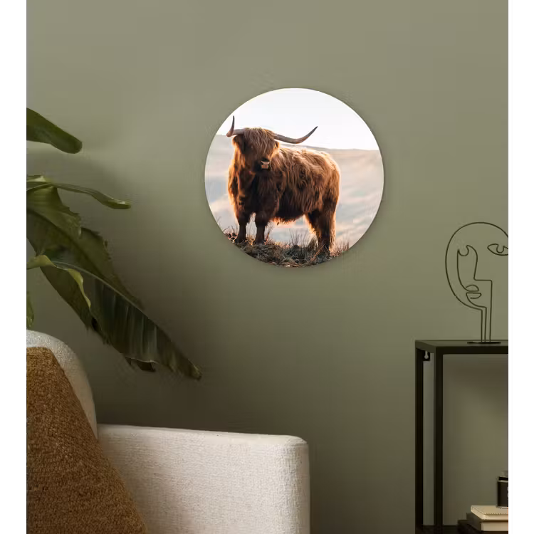 Schotse hooglander - Dieren - Landelijk - Landschap - Koe - Natuur Wandcirkel kunststof plaat 5mm dik klein -sfeer3