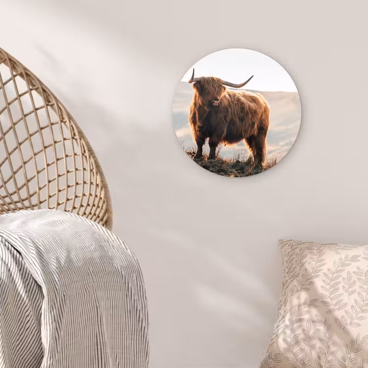 Schotse hooglander - Dieren - Landelijk - Landschap - Koe - Natuur Wandcirkel kunststof plaat 5mm dik klein -sfeer5